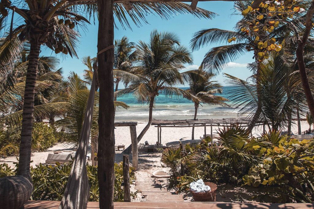 Chew & Lush Beach Hotels Tulum