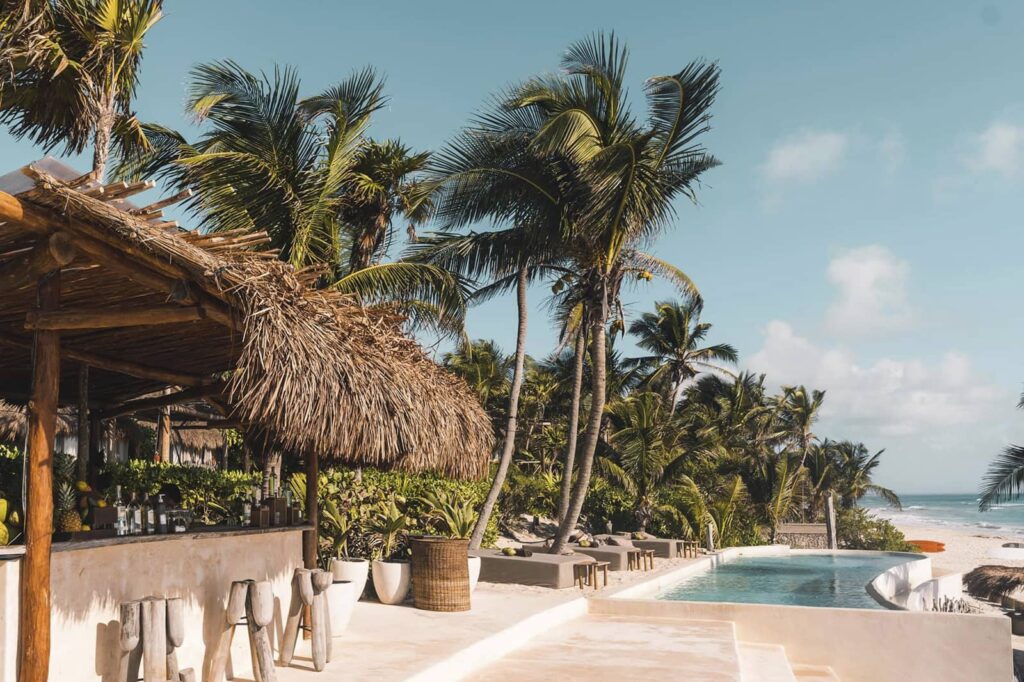 Chew & Lush Beach Hotels Tulum